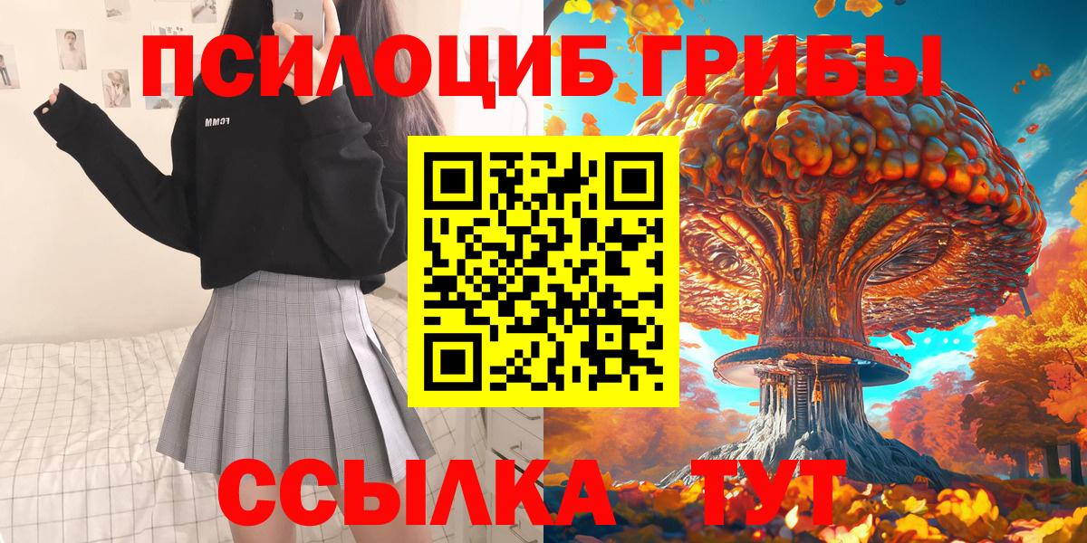 Псилоцибиновые грибы Cubensis Солнечногорск