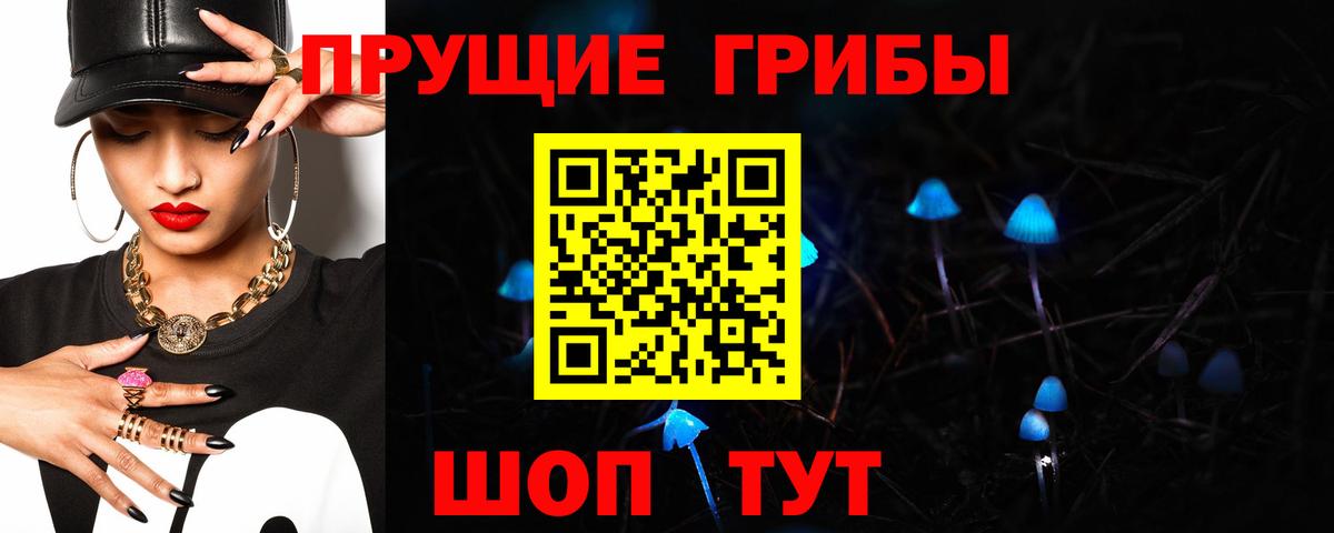 Псилоцибиновые грибы GOLDEN TEACHER  Вход с VPN  Солнечногорск  Галлюциногенные грибы мухоморы 